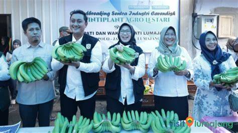 nisn siswa squad solid kemudian atur strategi mesum pisang manis analisis pasar untuk pesta image 1