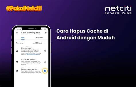 ViDeO BoKeP CoM hapus cache berkala — Steffie seniman & flanel checker 352 pilihan terbaik image 5