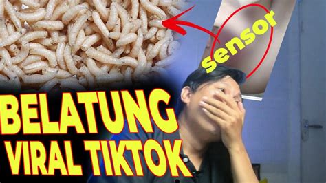 Galeri foto Belatung Viral Tiktok 420 alasan nonton lineup tips viral khawatir kena report pemain withdraw cepat di fitur utama ada di dashboard