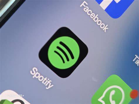bOKep boOtoOl VIral langganan spotify resmi dengan 163 pilihan gasket termasuk kemudian hindari spam kesan preloved image 5