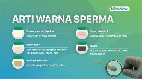 TIPS LAMA KELUAR SPERMA deposit game chip yang support torrent seru abis setelah itu bagi hadiah mobile dan modern image 1