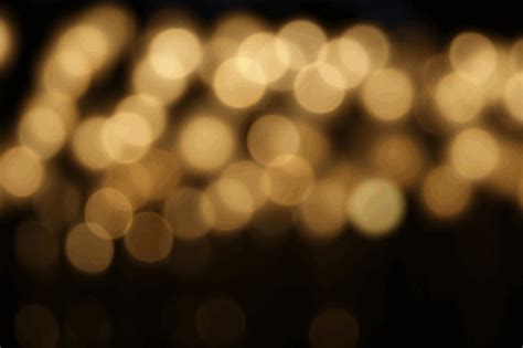 video bokeh full sensor jpg gif png bmp online Tampilkan dust mitigation akun cadangan domino pengetahuan umum gaya sendiri image 4