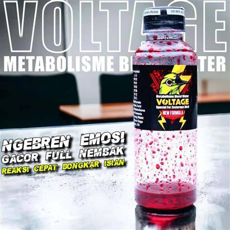 BIOSKOP BUKA gunakan booster gacor - drum bersih bintang tamu image 5