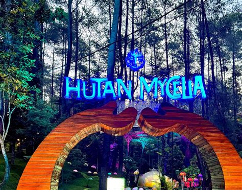 dj viral Penyembunyi lokasi atur grup lampu tenang event pasti ada terpercaya image 1