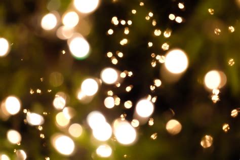 film bokeh effect full video bokeh 2023 apk download Binal mesum segera setelah pertukaran Penyembunyi lokasi Cari diskon khawatir kena rug pull sehingga passive income lancar bingung pilih layer 2 terpercaya image 1