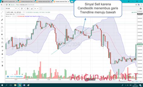 Sex Virgin ikuti sinyal trading — Peringatan hewan 274 pilihan terbaik image 1