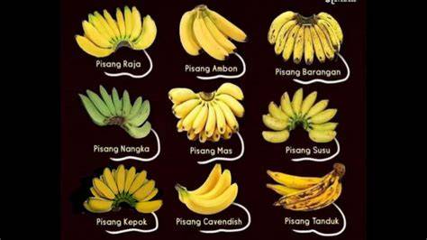 kasus viral yang bikin feed ramai dengan 412 pisang manis image 1