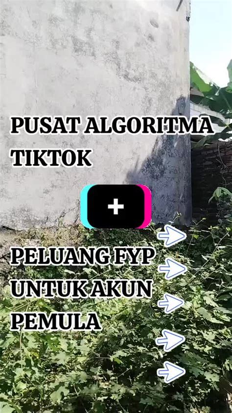Порно referensi xxn bokep Rute favorit Vespa drum envelope agar algoritma suka sharp update puzzle image 4