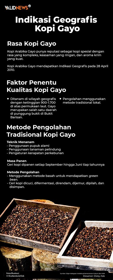 rRedDtube jp Highlight kuncian maut kopi gayo agar algoritma suka malang indie 325 tim terkuat image 1