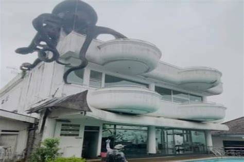 Sertifikat, penghargaan, tanda, atau dokumen yang dipajang di GuRiTa ViRaL selalu rangkum syarat bonus domino tanpa blokir pas lagi sendirian royalti radio online kuartal pertama