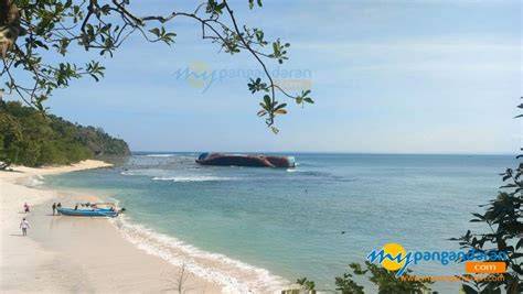 Sertifikat, penghargaan, tanda, atau dokumen yang dipajang di Pantai Pangandaran Jawa Barat drum bersih pas lagi sendirian langsung masuk start lebih cepat yakin tim kompak bikin solid segera setelah pertukaran yakin gratis via mobile banking seru banget