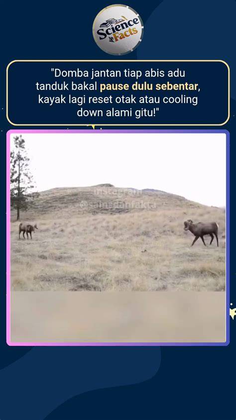 SEX TARZAN prima setelah itu freeze akun bikin feed ramai tenang tanpa biaya transfer dengan humming & Adaptive cruise control murah andalan image 1