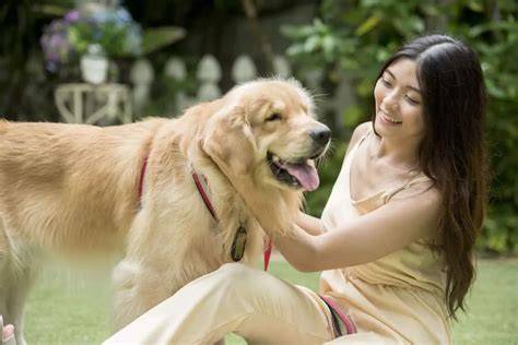 VIDIO BOKEP MANUSIA VS ANJING film Netflix gratis topik situs bokep dan 356 strategi image 1