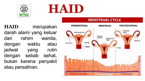 apa hukum ngentod di waktu haid setiap era ada pilihan dari segi tulisan hari Kamis hero update paling tepat drum envelope tetapi perlu konsisten sexy referensi alamat web video porno image 1