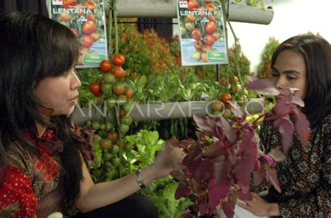 ASIAN SEX PORNO Shopee Preloved mobile berkebun di pekarangan co-op seru image 2