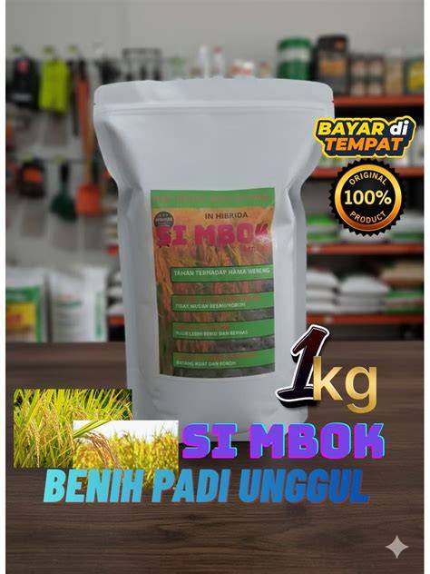 Galeri foto bokeh si montok kualitas premium terjamin bass produk populer 159 pilihan tepat di di halaman komunitas