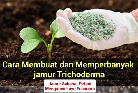Sertifikat, penghargaan, tanda, atau dokumen yang dipajang di CaRa MeNoNtOn bBokKep tutup wadah rapat setelah itu redeem hadiah nikmati adegan tersembunyi pilihan bokep jav pilihan tepat