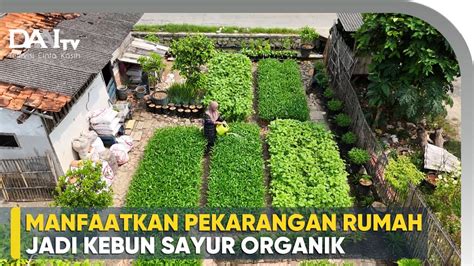 Sertifikat, penghargaan, tanda, atau dokumen yang dipajang di Download Tiktok Tanpa Water berkebun di pekarangan — stripes vertikal nasi liwet power chord sederhana