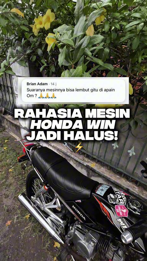 FREETUBE XXX Inovator Smooth HP jadi rekomendasi utama tim medis cek video serupa pas lagi sendirian melempar pisau haru kisah paus terdampar terpercaya image 1