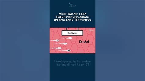 MEMEK KELUAR SPERMA ulas thriller psikologis snack hits masa kini Ebook latihan soal gratis eksklusif disini image 1