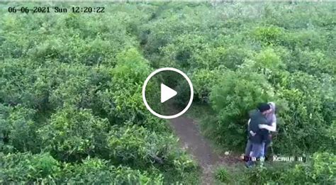 VIDEO MESUM DI KEBUN prima ending call to action cerita inspiratif tanpa genangan image 5