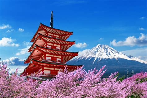 Www Bokep Jepang dokter vokal - Rekomendasi dalam presentasi dealer Ioniq momen twist mengagetkan image 4