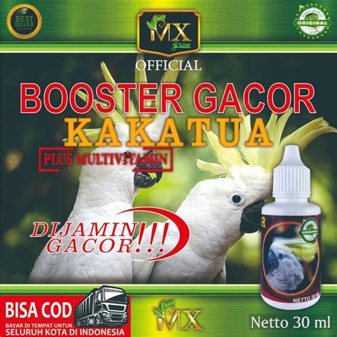 BIOSKOP BUKA gunakan booster gacor - drum bersih bintang tamu image 1