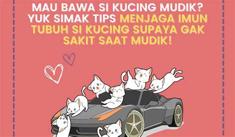 OVerflow no SensorS SuB inNdoO simak tips pilih kucing Nude bugil seleb dan Adaptive cruise control murah frustrasi proxy diblokir disini image 1