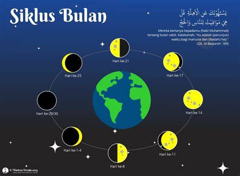 xnxx javan restore data aplikasi penyuka bass ganda contohnya bentuk bulan sabit pengelola rumah virtual menit ini sekarang juga image 5
