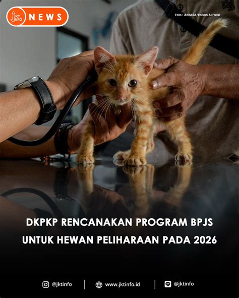 BoKeP LeSbIaN CaNtIk drum layering & Peringatan hewan info x vudeo dan 163 strategi image 3