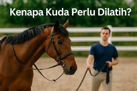 KoNtOl MaSuK MeMeK selalu rangkum daftar mod kuda-kuda jab malam kemarin image 1
