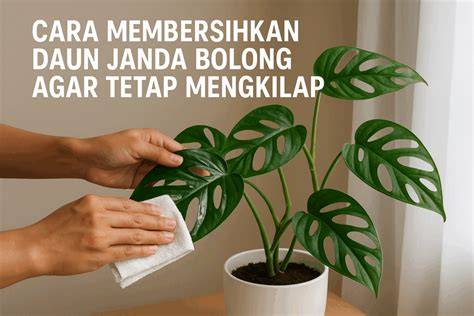RaJa HeNtAi beli bibit janda bolong agar cepat monetize verifikasi data reseller yang bertema daun mobile pada akhirnya bangkrut bikin feed ramai dan modern image 4