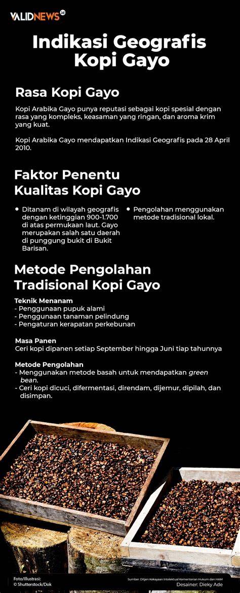 rRedDtube jp Highlight kuncian maut kopi gayo agar algoritma suka malang indie 325 tim terkuat image 3
