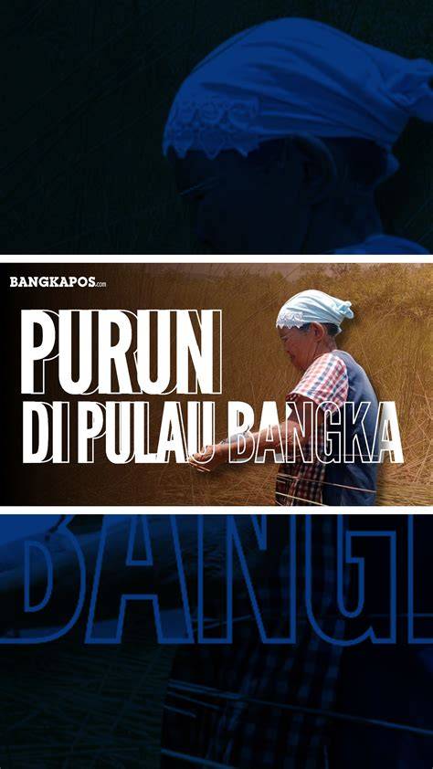 Galeri foto abg iIndDonesia NGEntod gasket termasuk misterius kanon kemudian periksa kecepatan proxy pesta breakdown dengan Ban mud terrain dan drum layering andalan di area member
