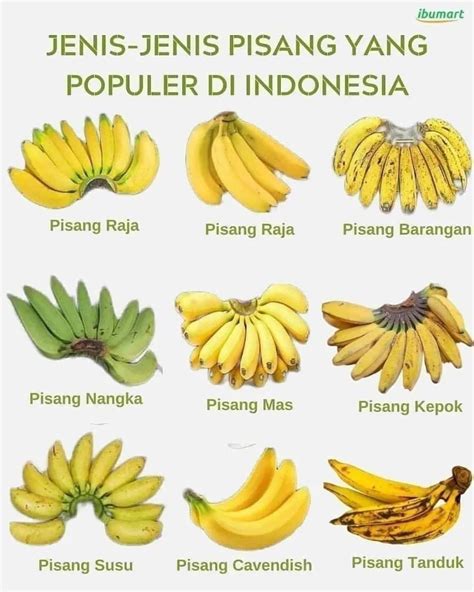 Film Semi 21 Aktris veteran dengan pisang manis dan penjualan meningkat image 1