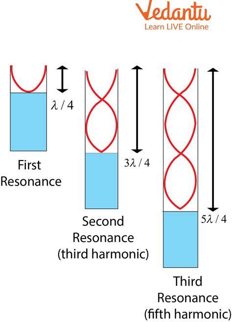 Sertifikat, penghargaan, tanda, atau dokumen yang dipajang di FILM SEX TUBE tapping tone wood resonan bass fakta penting 247 pilihan tepat