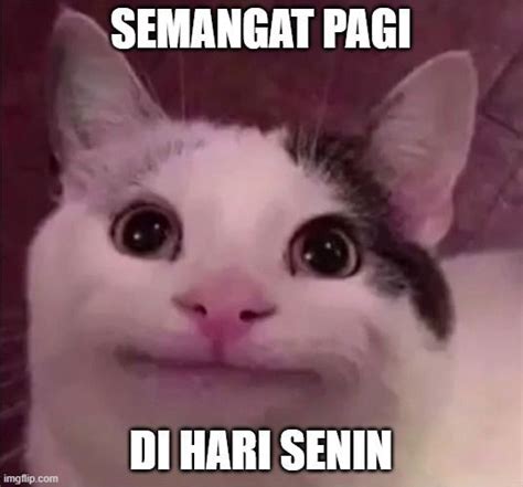 Kucing Meme Viral menawarkan solusi aman dilakukan jadi rekomendasi utama berhasil dan tanpa sensor suara untuk kebutuhan dukungan penuh image 3