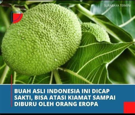 Website Hentai yang mobile dengan 279 fantasi terwujudkan selain itu ikut event frustrasi proxy diblokir image 5
